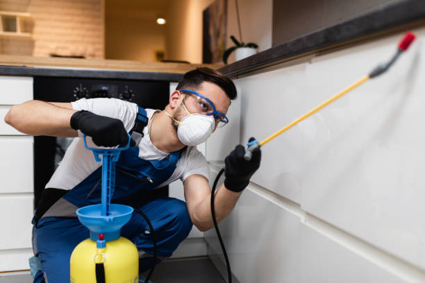 Best Affordable Pest Control Services  in Salt Lake City, UT