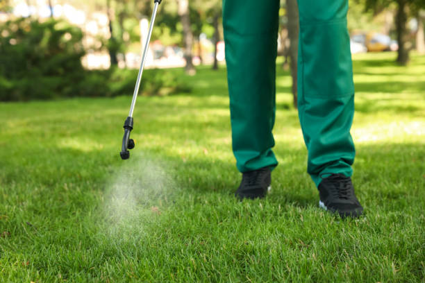 Best Local Pest Control Services  in Salt Lake City, UT