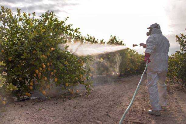 Best Mosquito Control Services  in Salt Lake City, UT