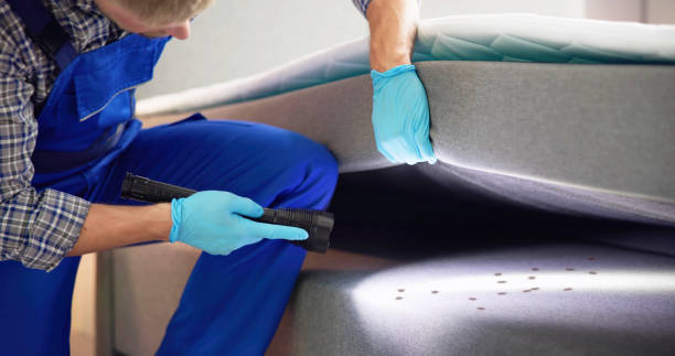 Best Pest Control Near Me  in Salt Lake City, UT
